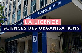 Devanture université Paris Dauphine - PSL, article Licence Sciences des Organisations Thotis media